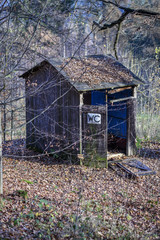 Outhouse, toilet in the forest in the autumn season.