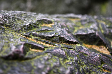 Close up on rock, stones, Sokole mountains, climbing in Sokoliki mountains.