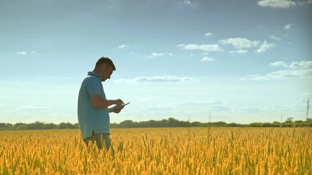 Man Using Tablet In Wheat Field And Go Away. Agro Business Worker Touch Ipad In Harvest Field. Farmer Using Tablet Computer In Crop Field