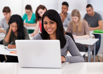 Fototapeta premium Young Woman Using Laptop
