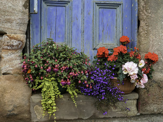 Fototapeta na wymiar Flowers in Bloom by a weathered door