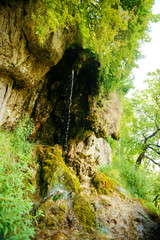 Beautiful landscape with small waterfalls in dense forest