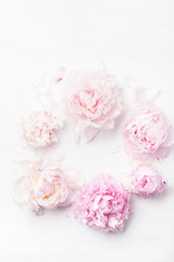 Fototapeta na wymiar beautiful pink peony flower background