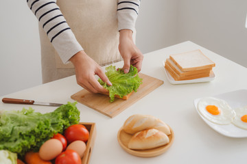Hands of man prepare sandwich at home.