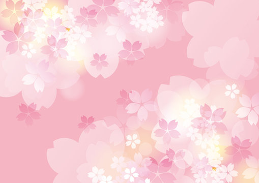可愛い色桜