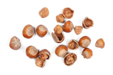 Hazelnuts isolated on white background, top view