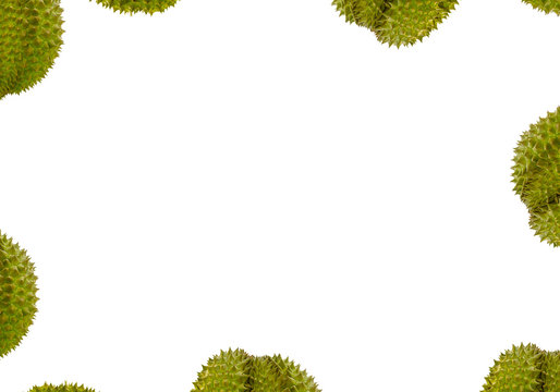 durian green spiny fruit royal fruit pattern, part of fruit drawing on white background