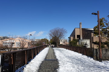 Fototapeta na wymiar 冬の散歩