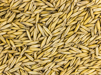 background natural seed rye, ingredient brewing base, light beige pattern many grains