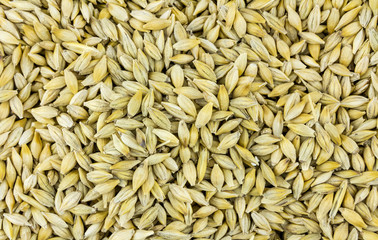 dry grain small base of beer and bread production rustic pattern