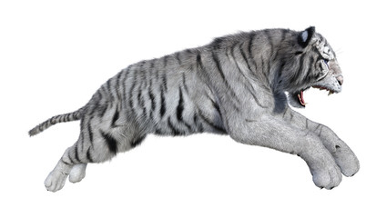 3D Rendering White Tiger on White