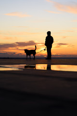 Silhouette of man with his dog at sunset on background
