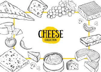 Cheese collection. Hand drawn illustration