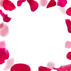 Template wedding invitation with rose petals. Floral frame vector illustration.