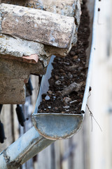 vieilles gouttières en zinc remplie de fiente