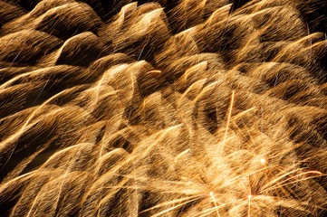 Beautiful fireworks in the night time sky.