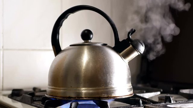 Hot cup tea kettle