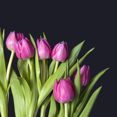 the greeting card for Valentine's day. Bouquet of pink tulips