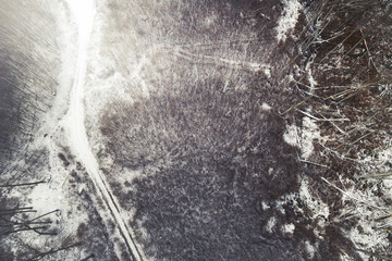 drone flight over birch forest in january with little snow