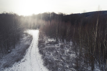 Fototapeta premium drone flight over birch forest in january with little snow