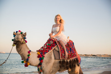 The happy young woman sitting on a camel by the sea