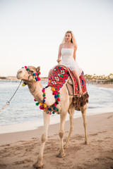 The beautiful young woman driving on a camel by the sea