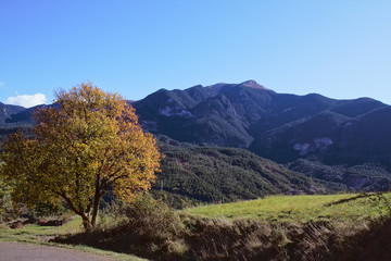 Fototapeta premium Landscape of mountains and meadows in autumn