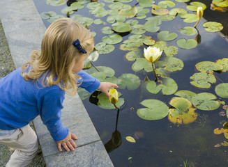 Girl trying picking water lily flowers