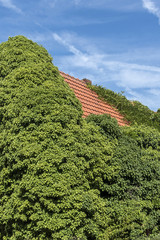 Hausdach