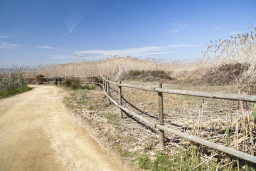 Fototapeta na wymiar Natural area Delta Llobregat river,close to Airport El Prat-Barcelona,protected space,bird watching zone.Viladecans,Catalonia,Spain.