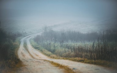 Road through white, thick fog.