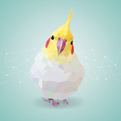 Fototapeta premium 幾何学的 オカメインコ