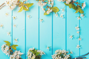 White blossom flowers on blue wooden backgrounds.
