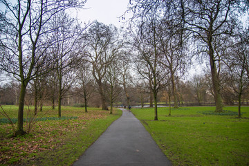 Fototapeta na wymiar Pathway trough trees in Regent's Park, London.