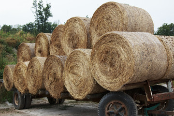 Round hay bales on a flat bed trailer