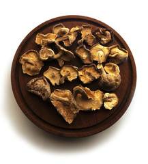 Fototapeta premium Fungi
