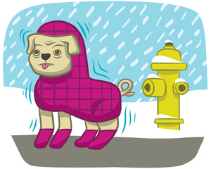 A bundled-up dog shivers in the cold.