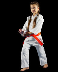 Little girl martial arts fighter