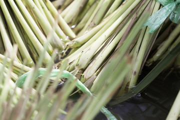 Lemon grass, Lemon grass tied together.