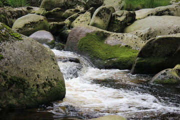 River Vydra, National Park Sumava, Czech Republic.