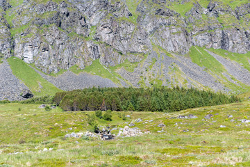 Norway Lofoten fjords