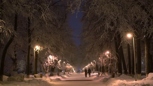 Couples walking in a winter evening city park view