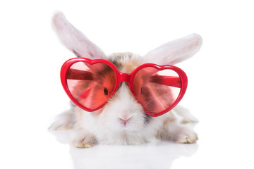Adorable lop eared rabbit wearing heart shaped glasses, isolated on white © Rita Kochmarjova