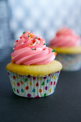 Vanilla Cupcakes