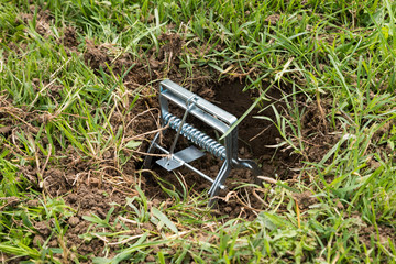 Trap for moles