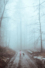 Moody winter path