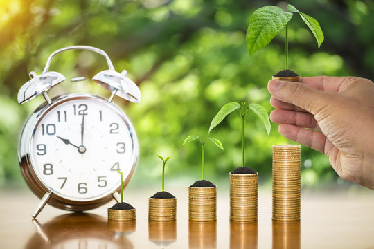 Money growing plants on money coins stack arranged as graph and alarm clock with businessman hand holding money coin with tree growing putting on stack of money coin, concept of time to money growth