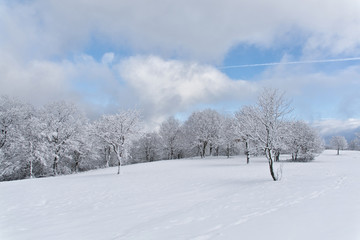 Winter panorama with blue sky on Steinerberg, Germany