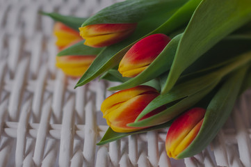 Bukiet kolorowych tulipanów na białym tle
