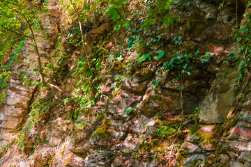 A rocky wall of a mountain with vegetation and glares of sunlight in sunny autumn day
